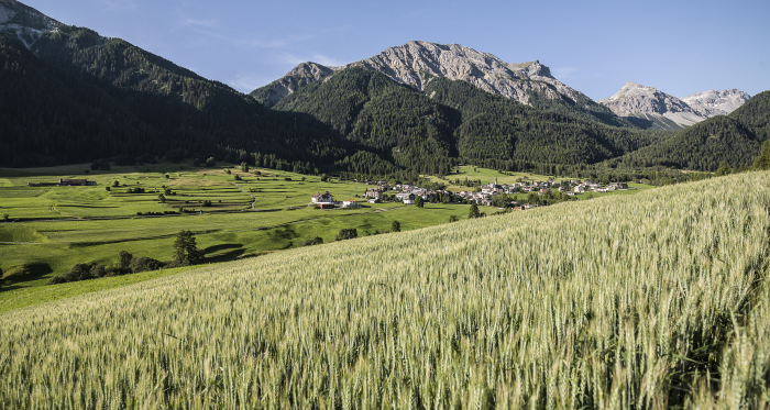 Blick ins Val Müstair