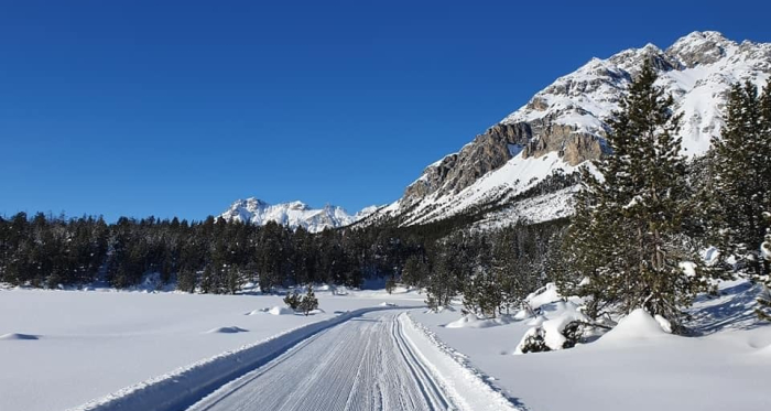 Blick in Richtung Schweizerischer Nationalpark, Nord-Westen Blick in Richtung Schweizerischer Nationalpark, Nord-Westen
