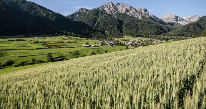 Jakobsweg Graubünden. Etappe 1, Müstair - Lü Jakobsweg Graubünden. Etappe 1, Müstair - Lü