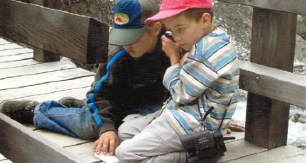 Kinderpfad Champlönch (nsp_img_40c3779) Kinderpfad Champlönch (nsp_img_40c3779)