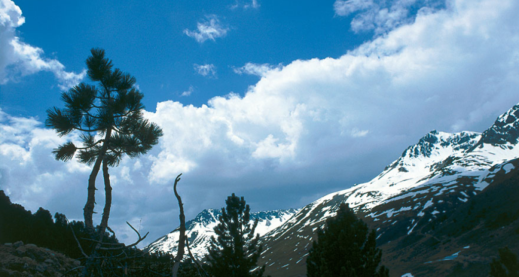 Scuol – S-charl – Süsom Givè (oua_1959897_image) Scuol – S-charl – Süsom Givè (oua_1959897_image)