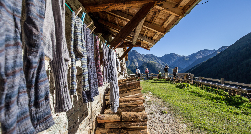 Die Alp Tavrü. Die Alp Tavrü.