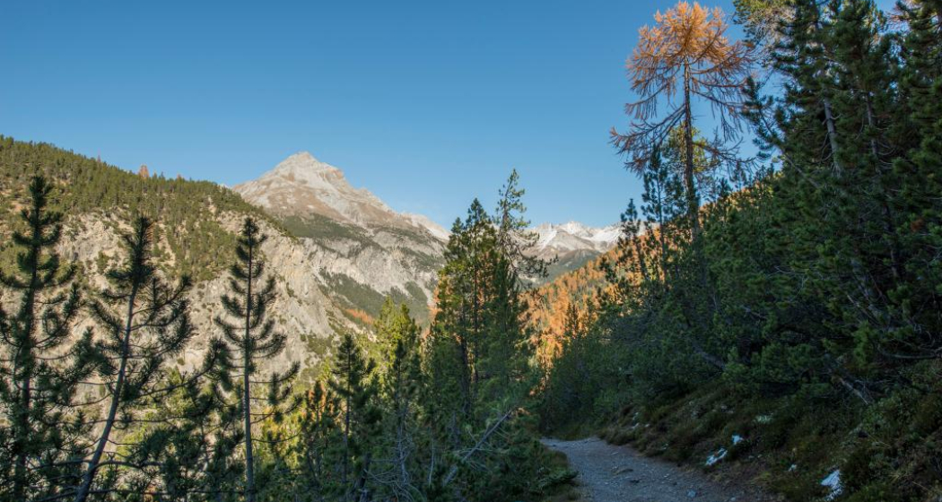 Der Weg schlängelt sich von La Drossa dem Hang entlang Richtung Alp la Schera. Im Hintergrund der Piz dal Fuorn. Der Weg schlängelt sich von La Drossa dem Hang entlang Richtung Alp la Schera. Im Hintergrund der Piz dal Fuorn.