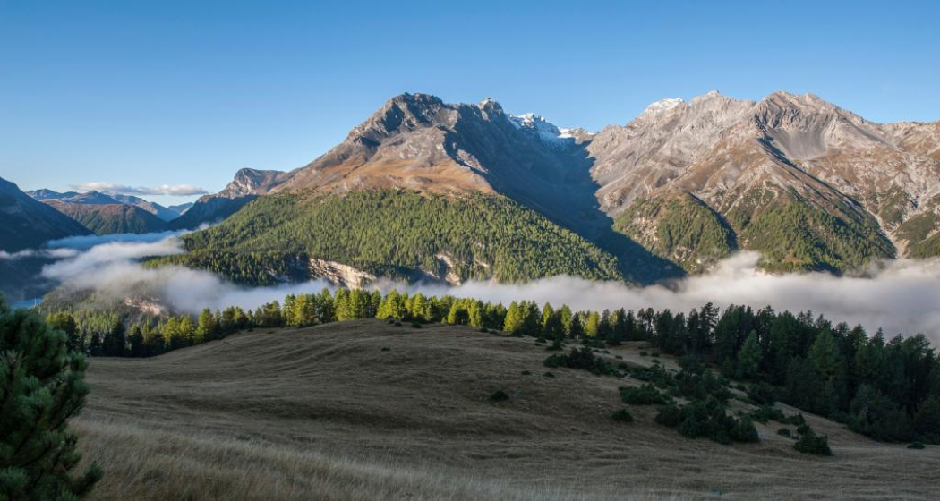 Morgendliche Nebelschwaden auf Alp la Schera. Links hinten befindet sich das italienische Livigno. Morgendliche Nebelschwaden auf Alp la Schera. Links hinten befindet sich das italienische Livigno.