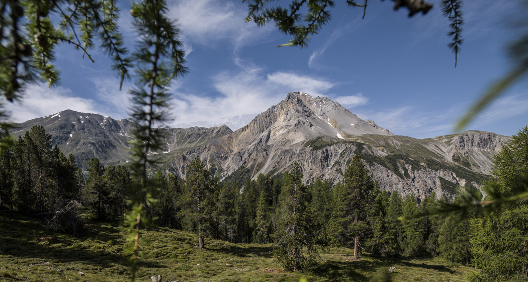 Piz Dora (oua_20751787_image) Piz Dora (oua_20751787_image)