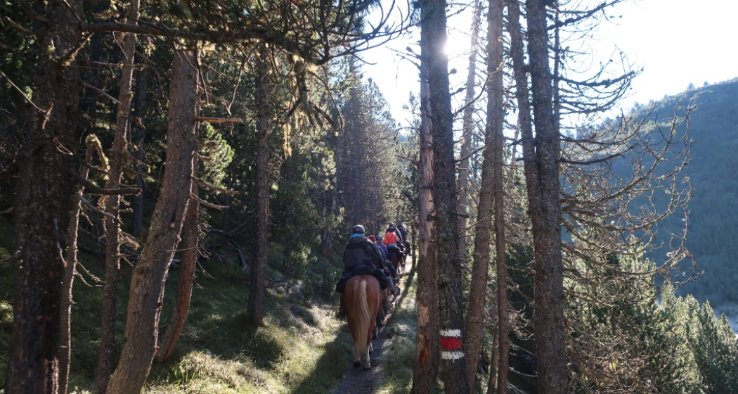 Aufstieg zum Ofenpass Aufstieg zum Ofenpass