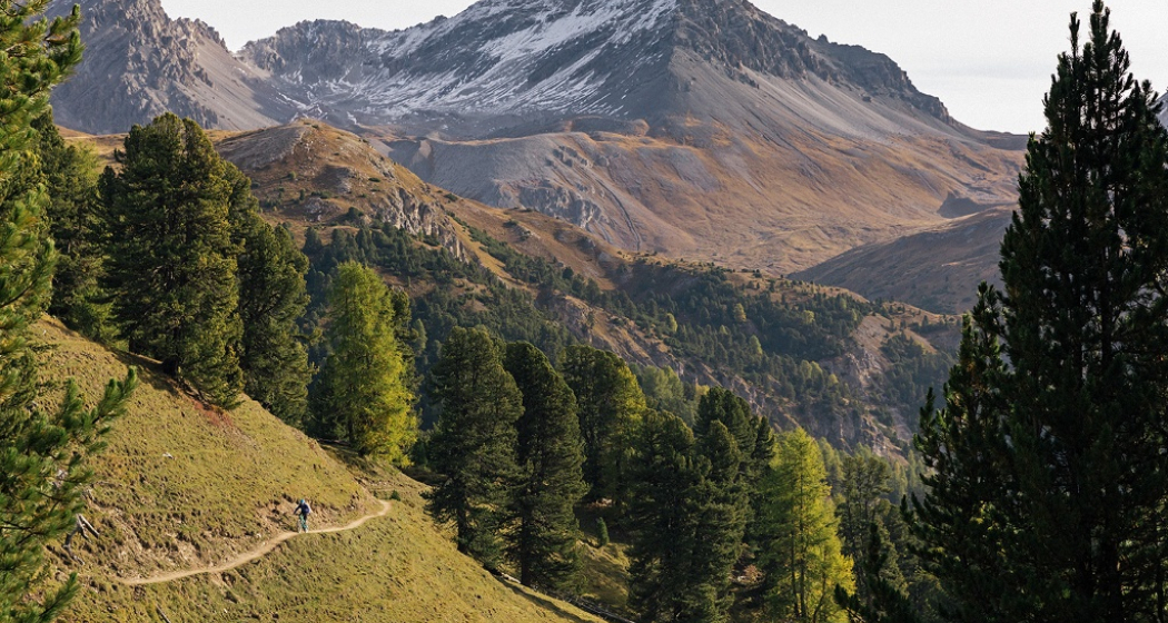 Flowtrail zur Alp Champatsch Flowtrail zur Alp Champatsch