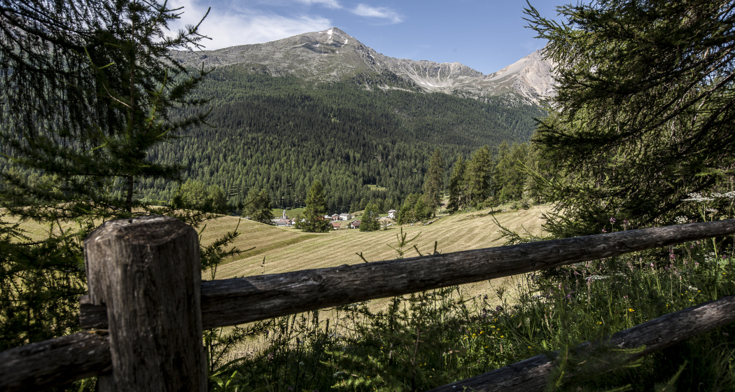 Aussicht auf Tschierv