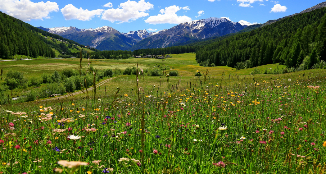 Blick auf Fuldera im Val Müstair. Blick auf Fuldera im Val Müstair.