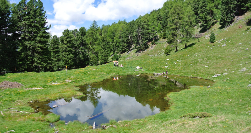 Lü – Alp Valmorain – Alp Tabladatsch – Lai da Valpaschun – Lü (oua_38575761_image) Lü – Alp Valmorain – Alp Tabladatsch – Lai da Valpaschun – Lü (oua_38575761_image)