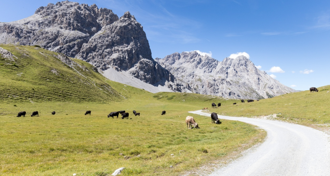 Val Mora Val Mora