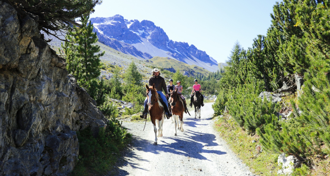 Paclerahof Reiterhof & Pferdezucht Agrotourismus (oua_45904753_image)