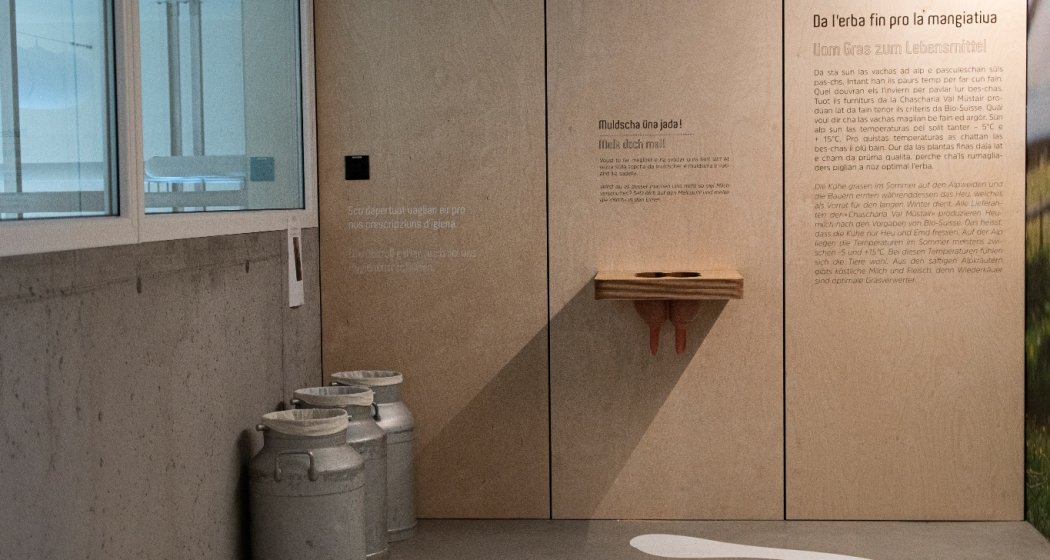 Besucherzentrum Chascharia Val Müstair (oua_52828953_image) Besucherzentrum Chascharia Val Müstair (oua_52828953_image)