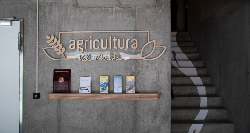 Besucherzentrum Chascharia Val Müstair (oua_52829012_image) Besucherzentrum Chascharia Val Müstair (oua_52829012_image)