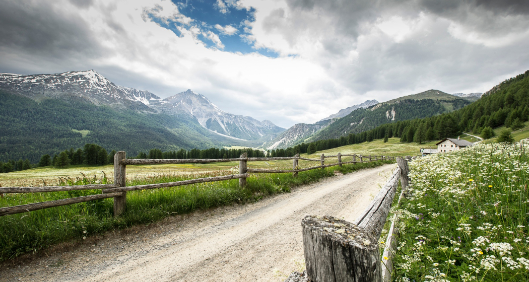Frühling im Val Müstair Frühling im Val Müstair