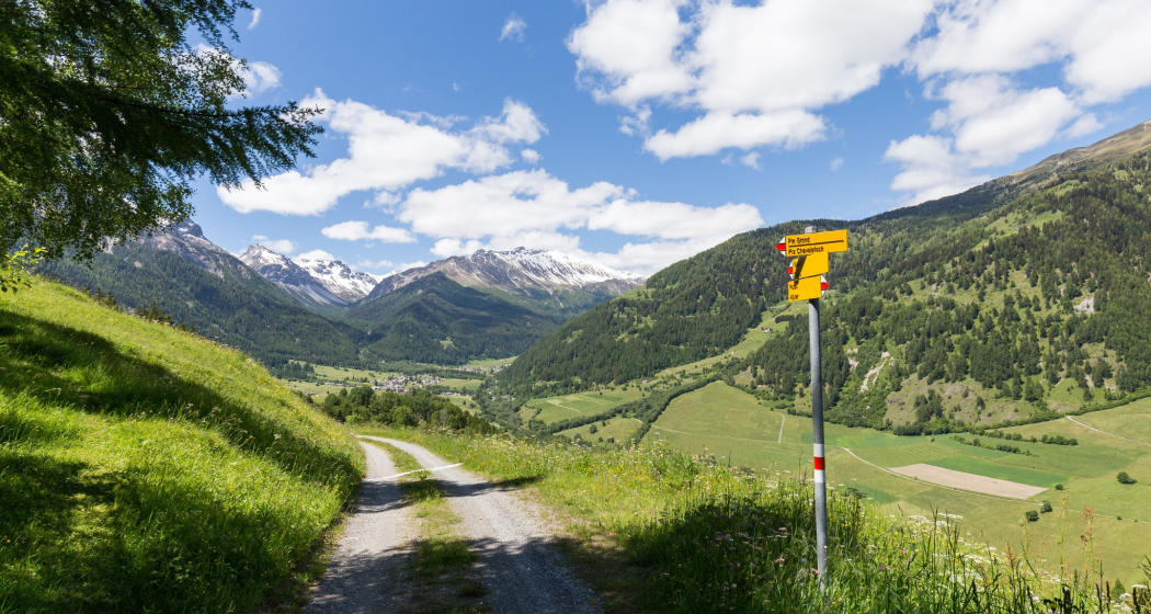 Bärenthemenweg «senda da l’uors» bei Fuldera (oua_611525988_image) Bärenthemenweg «senda da l’uors» bei Fuldera (oua_611525988_image)