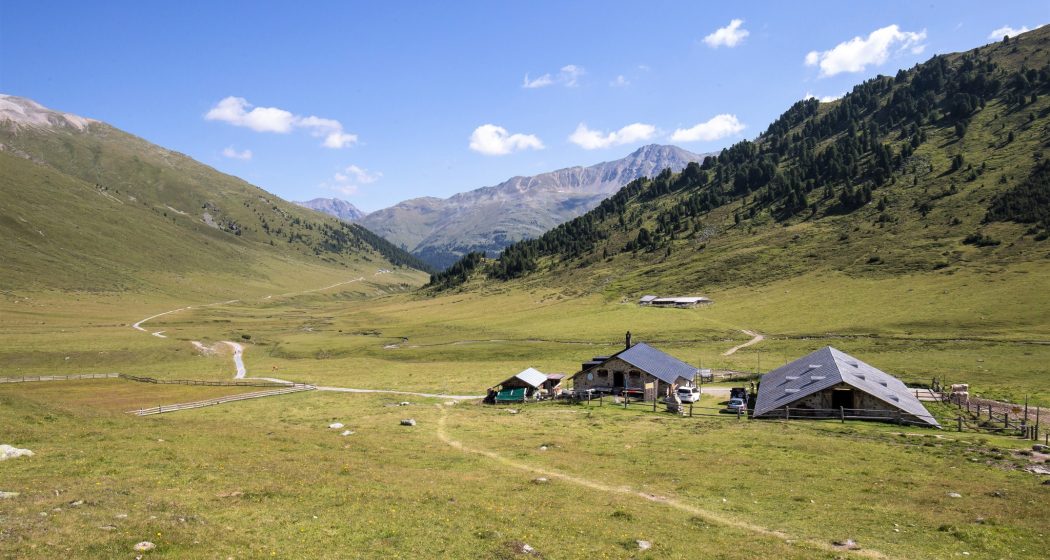 Alp Astras Alp Astras
