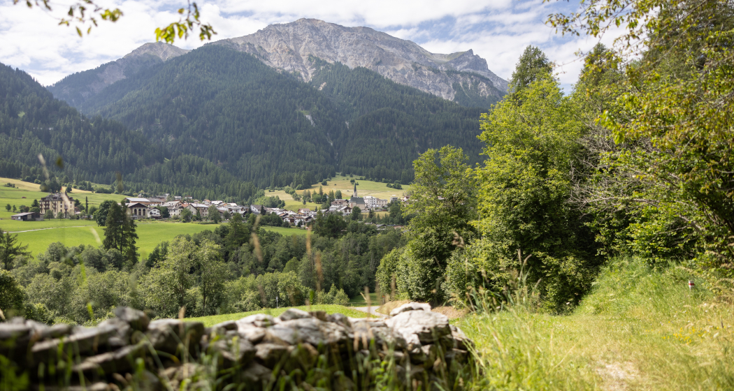 Auf der Senda da las linguas Auf der Senda da las linguas
