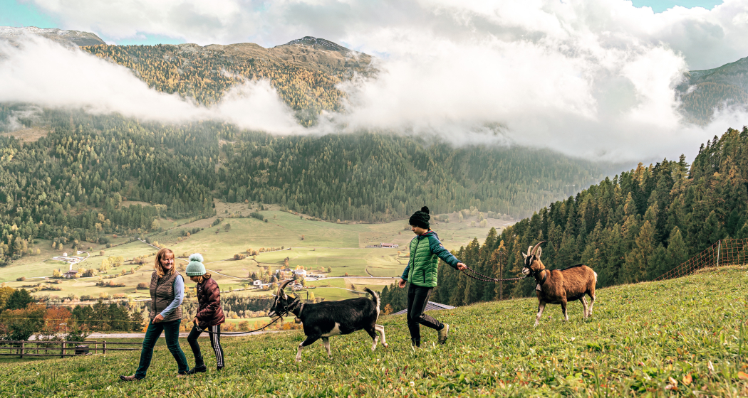 Bain Pütschai Josom (oua_83060651_image)