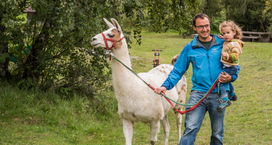 Pauraria Puntetta (oua_83060709_image)