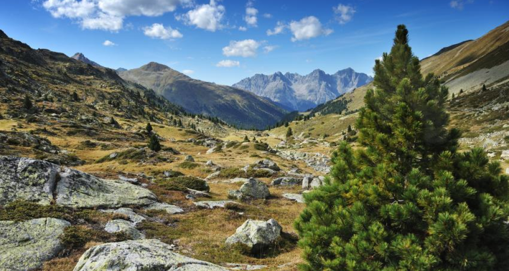 43.02 Lü - S-charl, Jakobsweg Graubünden (oua_9701532_image) 43.02 Lü - S-charl, Jakobsweg Graubünden (oua_9701532_image)