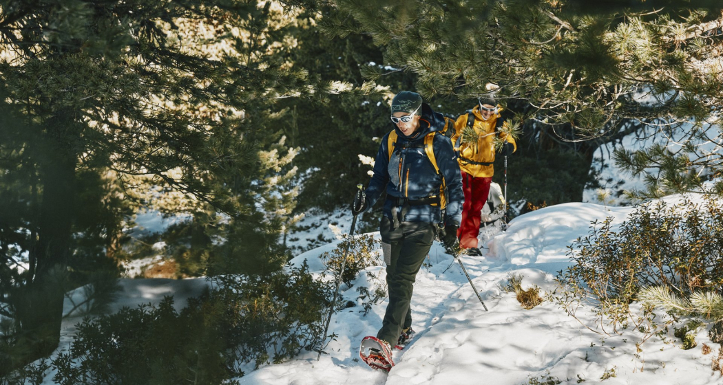 Schneeschuhtour von S-charl nach Lü im Val Müstair (oua_97300220_image)