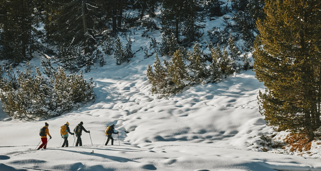 Schneeschuhtour von S-charl nach Lü im Val Müstair (oua_97300221_image)