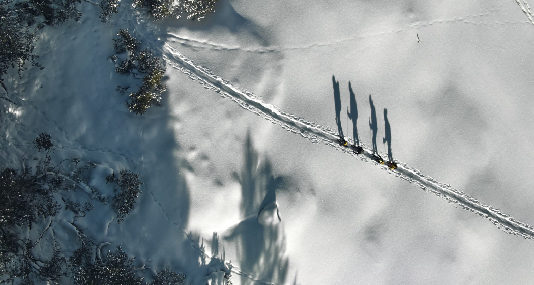Schneeschuhtour von S-charl nach Lü im Val Müstair (oua_97300223_image)