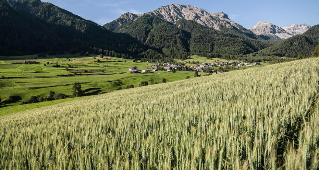 Jakobsweg Graubünden. Etappe 1, Müstair - Lü Jakobsweg Graubünden. Etappe 1, Müstair - Lü
