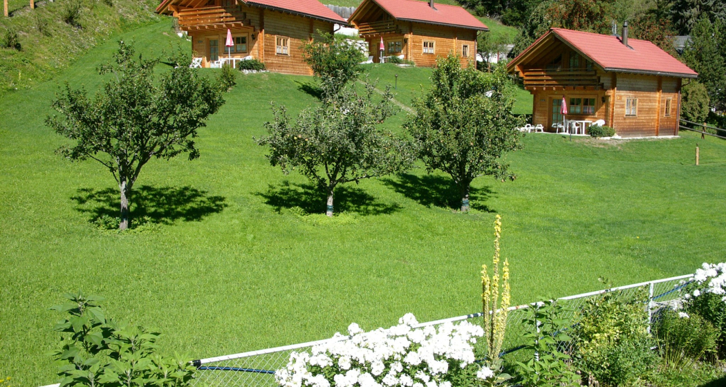 Ferienhaus Chalets Trafögl (tom_tds00020010521140475_image)