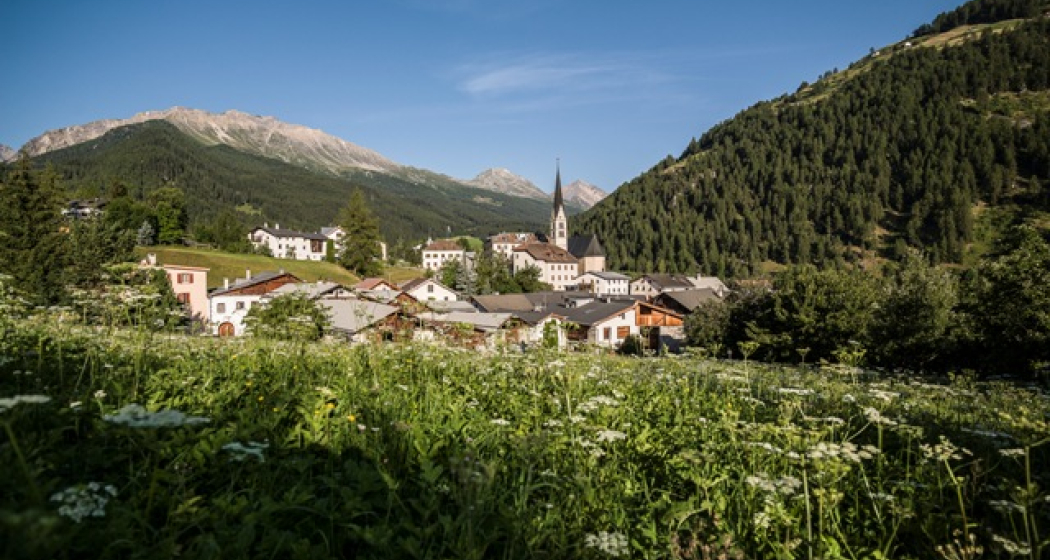 Ferienwohnung Chasa Puntin EG (tom_tds00020010762184556_image)