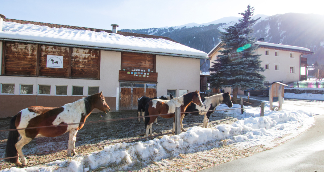 Paclera Hof mit Wohnaus, Stall und Koppel