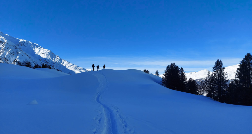 My Alpina Hotel / Apartments (tom_tds00020014574263971_image)