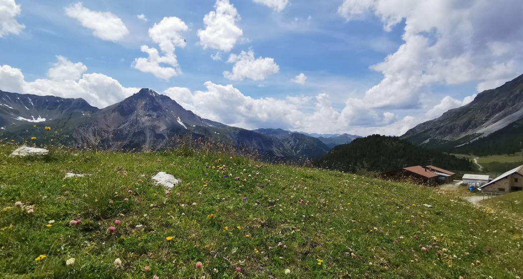 1. August-Brunch: Alp da Munt, Skigebiet Minschuns (gdl_796871441_image) 1. August-Brunch: Alp da Munt, Skigebiet Minschuns (gdl_796871441_image)