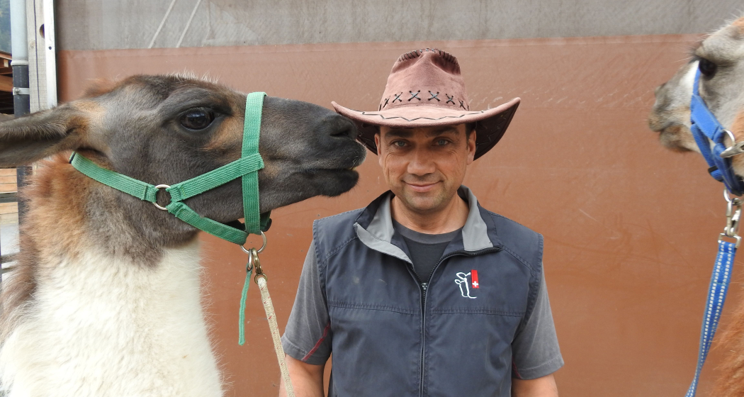 Lamatrekking Schnuppertour (gdl_810859477_image)