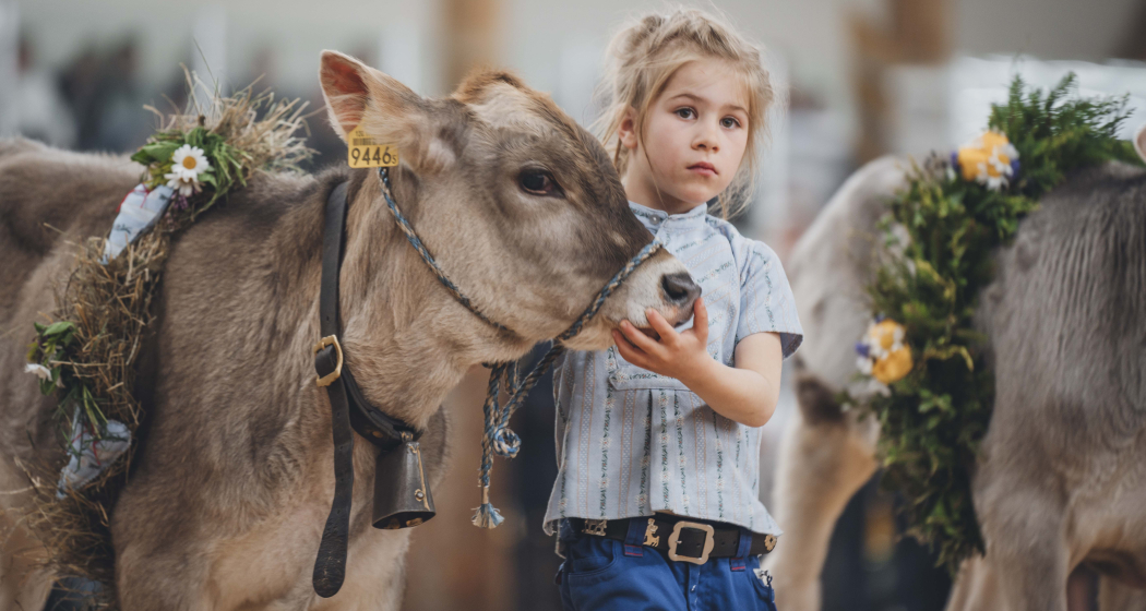 agrischa - Erlebnis Landwirtschaft Zernez (gdl_895697956_image) agrischa - Erlebnis Landwirtschaft Zernez (gdl_895697956_image)