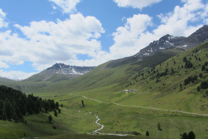 Tamangur Dadora, view towards Alp Astras