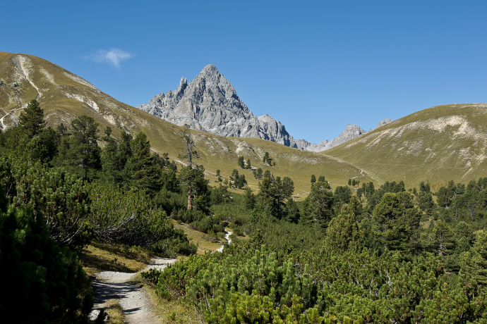 From S-charl to the Ofenpass (oua_17631458_image)