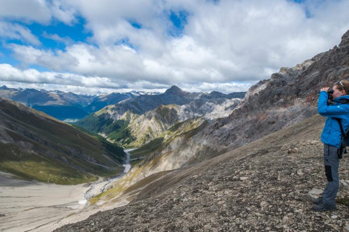 Im Abstieg von der Fuorcla Trupchun aus lassen sich im Sommer immer wieder Rothirsche und Steinböcke beobachten.