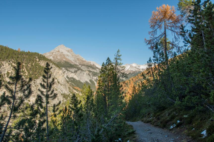 The path winds along the slope from La Drossa towards Alp la Schera. In the background is the Piz dal Fuorn.