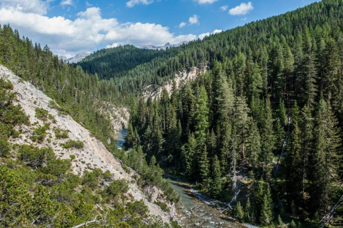 The Spöl winds through the forests of the eponymous valley.