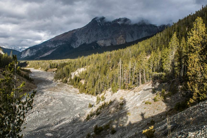 Fuorntal: Entlang dem wilden Bergbach (oua_22646934_image)