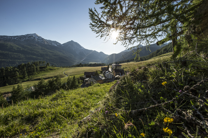 Lü (above Tschierv)