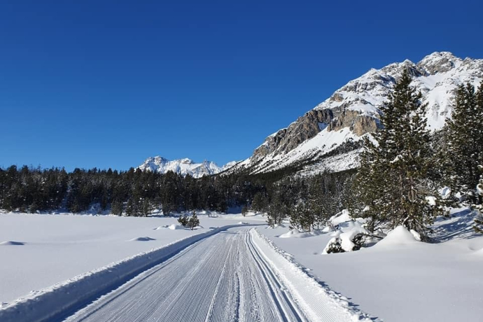 Blick in Richtung Schweizerischer Nationalpark, Nord-Westen Blick in Richtung Schweizerischer Nationalpark, Nord-Westen
