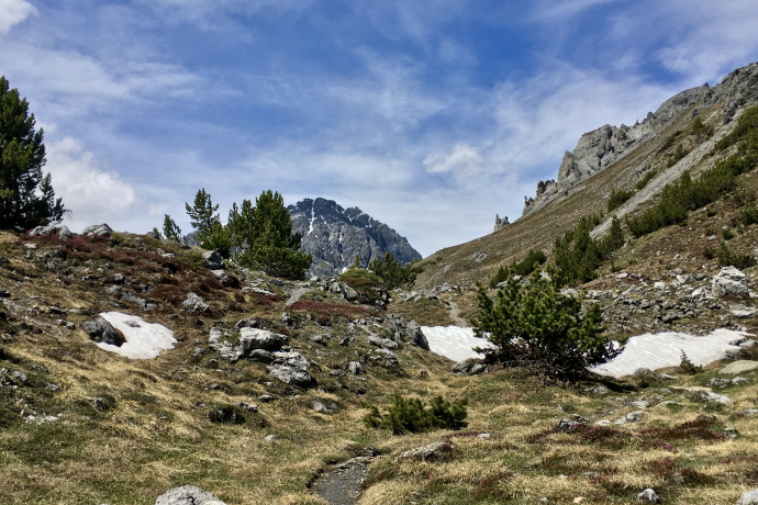 vom Ofenpass in Richtung Chaschlot
