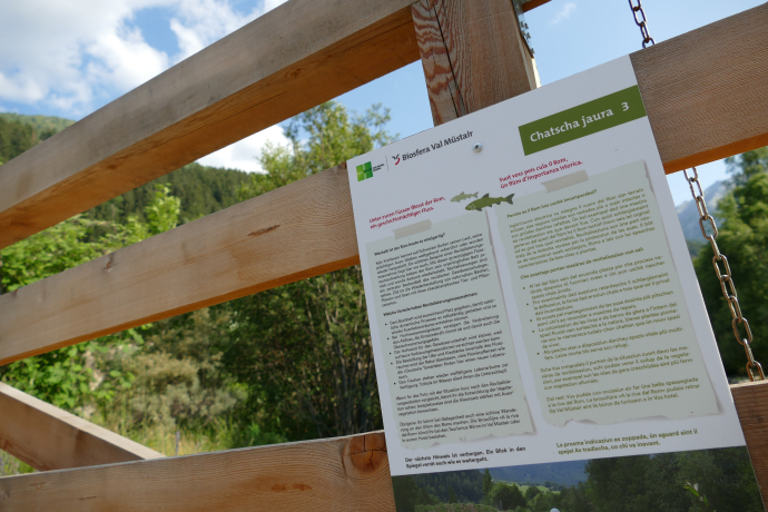 Chatscha jaura – treasure hunt (oua_81718902_image)