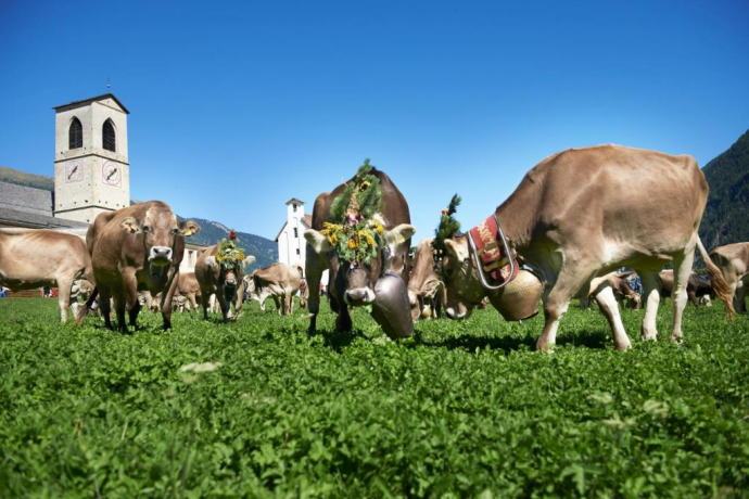 45.04 Süsom Give - Il Fuorn, National Park Panorama Trail (oua_9665454_image)