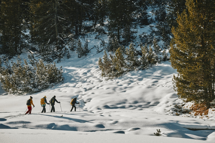 Schneeschuhtour von S-charl nach Lü im Val Müstair (oua_97300221_image)