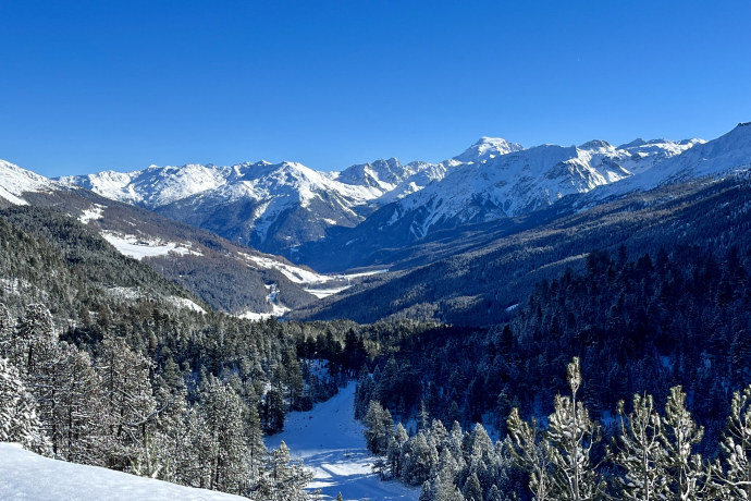 Fun evening for everyone (gdl_730330693_image)