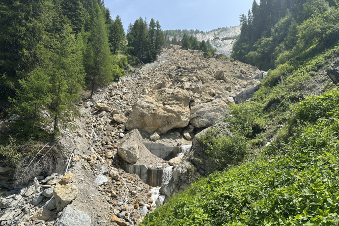 Di dal god / Waldtag (gdl_895726641_image)